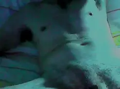 Amateur Best live sex cam show of IVAN7901