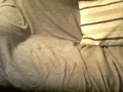 Amateur Nude Webcam of Daarsa2319