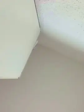 Cam4 Free Porn Cam of Biggboy