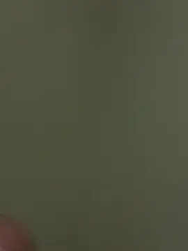 Cam4 Live Sex of Donzilla402