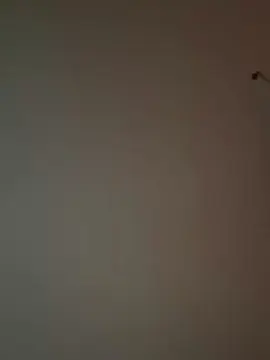 Cam4 Free Porn Cam of beautyyyy81