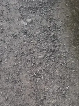 Cam4 Sex Cam of gringogringuet1
