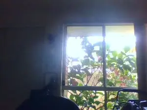 Cam4 Free Porn Cam of jackoff2131