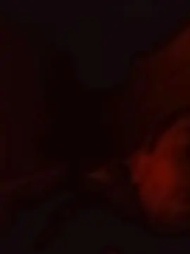 Cam4 Sex Chat of Yoel_Leon