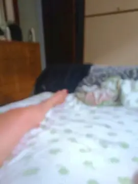 Cam4 Watch Live Sex Cams of maxpom21