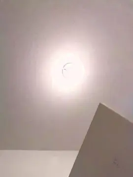 Cam4 Live Sex of dan666mex