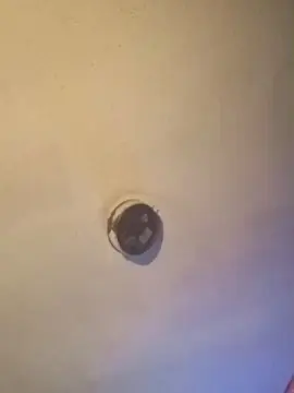 Cam4 Free Porn Cam of Cum_Daddy39