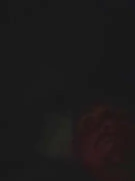 Cam4 Sex Cam of Infestacon