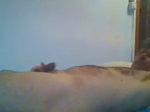 Cam4 Live Sex of shaggyvery