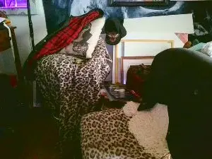 Cam4 Nude Webcam of blindsurfer