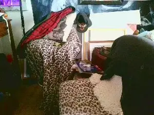 Cam4 Adult Webcams of blindsurfer