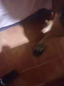 Cam4 Sex Cam of Falisan