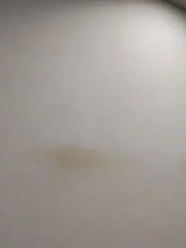 Cam4 Sex Cam of tonytuga