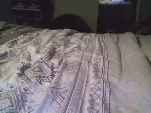 Cam4 Free Porn Cam of loveolder24