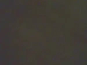 Cam4 Nude Webcam of minpresident