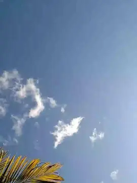 Cam4 Sex Cam of Liveformuff