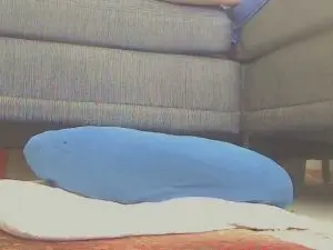 Cam4 Live Sex of chasy56