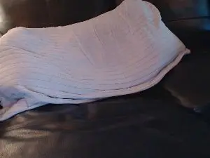 Cam4 Sex Chat of topgun28