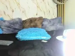 Cam4 Private Sex Chat of obregon_boyx18