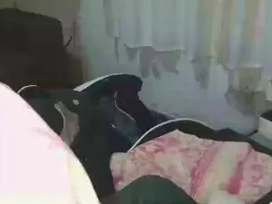 Cam4 Private Sex Chat of joaopaulogc