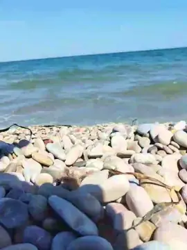 Cam4 Private Sex Chat of delfin1111