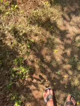 Cam4 Live Porn of pimmel51