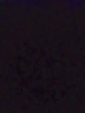 Cam4 Adult Webcam of Lastnigh91