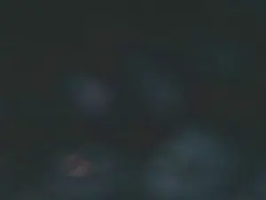 Cam4 Live Porn of duftslip