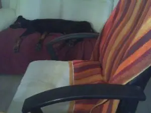 Cam4 Private Sex Chat of laparki