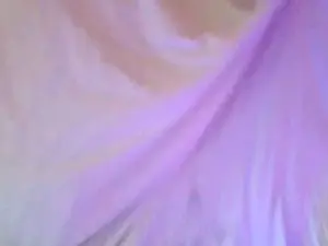 Cam4 Sex Cam of obviousproduct