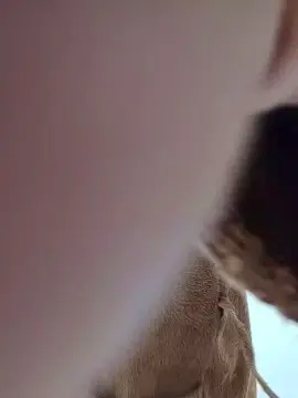 Cam4 Watch Live Sex Cams of 22cmBigCockMilk