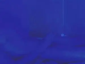 Cam4 Best live sex cam show of HotDereck01
