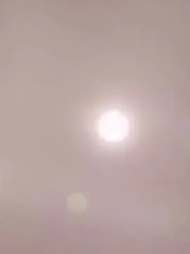 Cam4 Nude Webcam of Mgpereira