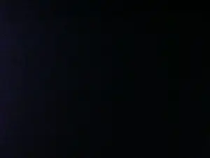 Cam4 Best live sex cam show of antpa803