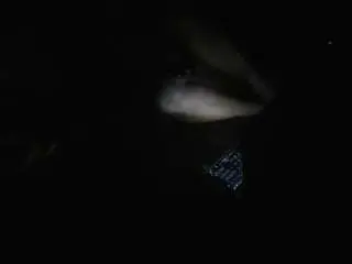 Camsoda Adult Webcam of kulprit30