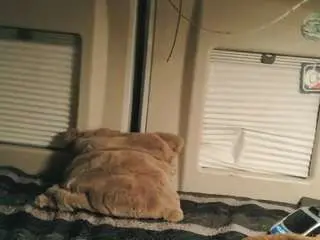 Camsoda Live Sex Cam of charlescock