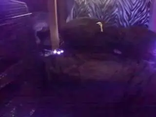 Camsoda Watch Live Sex Cams of secretsexpert