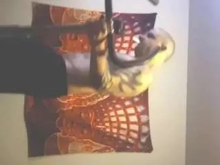 Camsoda Live Porn of shadowvmyers