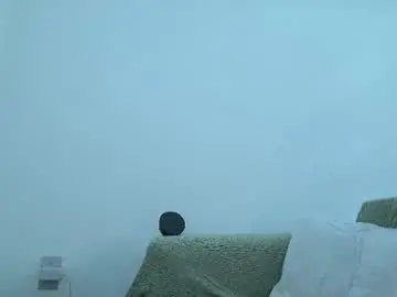 Chaturbate Nude Webcam of baddaddybrasil