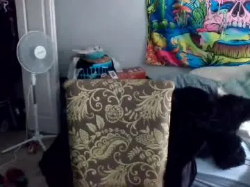 Chaturbate Nude Webcam of tehkie