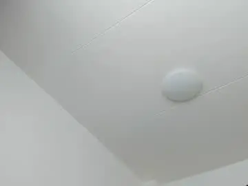Chaturbate Free Porn Cam of 200gentleman