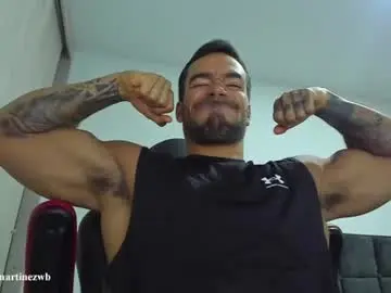 Chaturbate Adult Webcam of alexander_martines