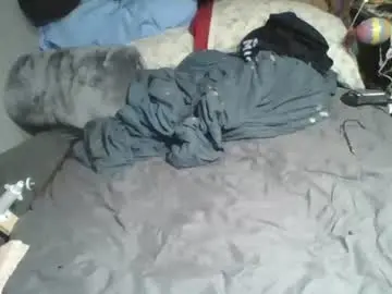 Chaturbate Live Sex Cam of lildman420
