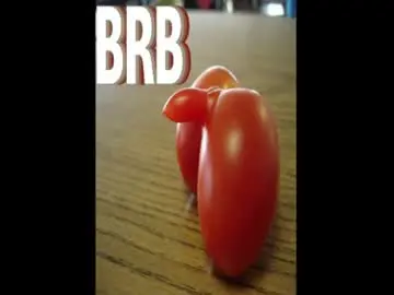 Chaturbate Private Sex Chat of d_j_strokes