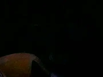 Chaturbate Adult Webcams of latinounder
