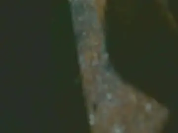 Chaturbate Watch Live Sex Cams of marcleide