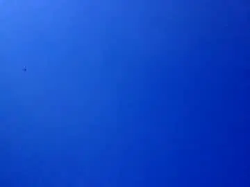 Chaturbate Sex Cam of bonershow