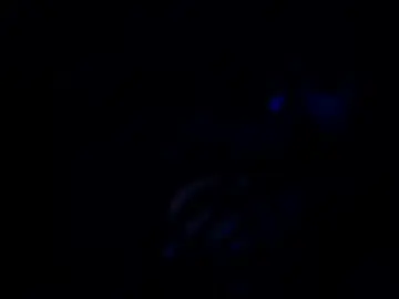 Chaturbate Nude Webcam of nawtydom1977