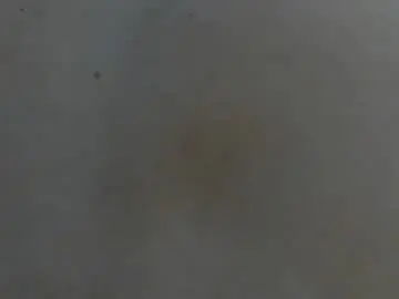 Chaturbate Adult Webcam of mihc1117