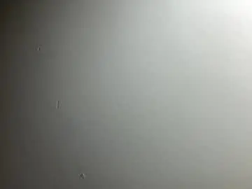 Chaturbate Free Porn Cam of whitegoldigger